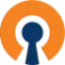 OpenVPN Connect
