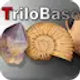 الهندسة والمحاكاة 8.8.3 icon