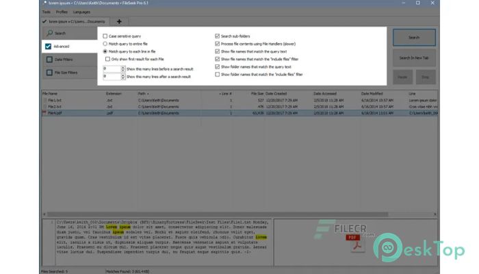 Download FileSeek Pro 6.7 Free Full Activated