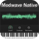 korg-modwave-native_icon