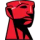 Kingston-SSD-Manager_icon