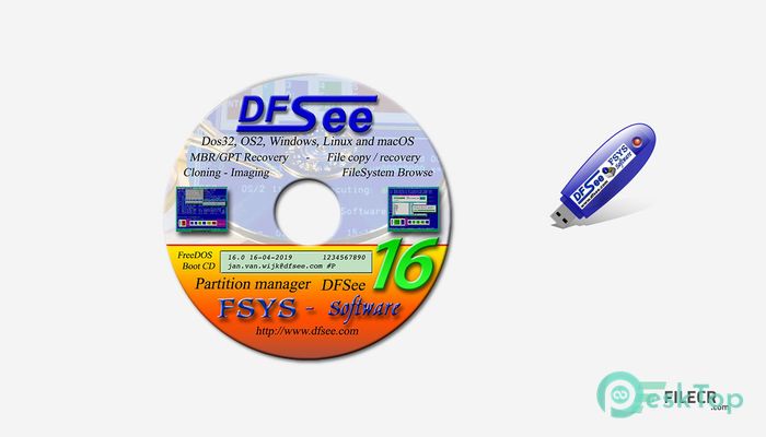 DFSee 16.9 完全アクティベート版を無料でダウンロード