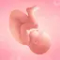 Pregnancy and Due Date Tracker