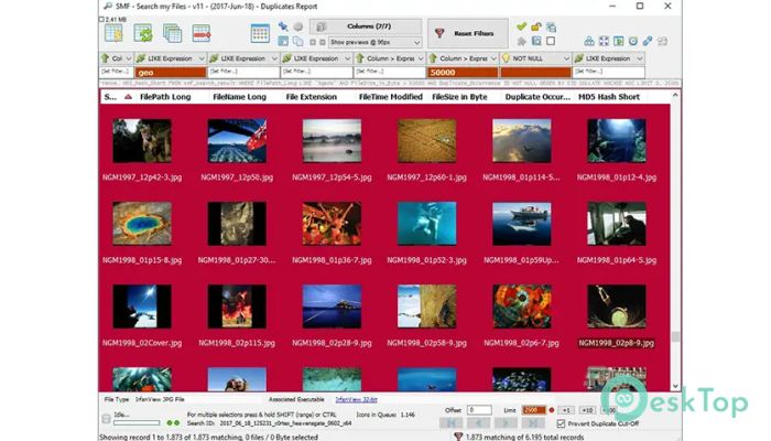 Download Search my Files  18.0 Free Full Activated