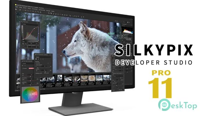 SILKYPIX Developer Studio Pro 11.0.15.0 Tam Sürüm Aktif Edilmiş Ücretsiz İndir