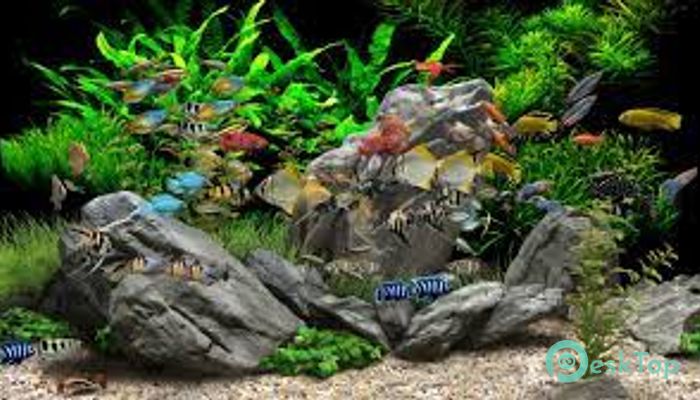Dream Aquarium 1.293 Tam Sürüm Aktif Edilmiş Ücretsiz İndir