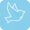 Small Wings VPN