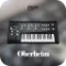 GForce Oberheim OB-1