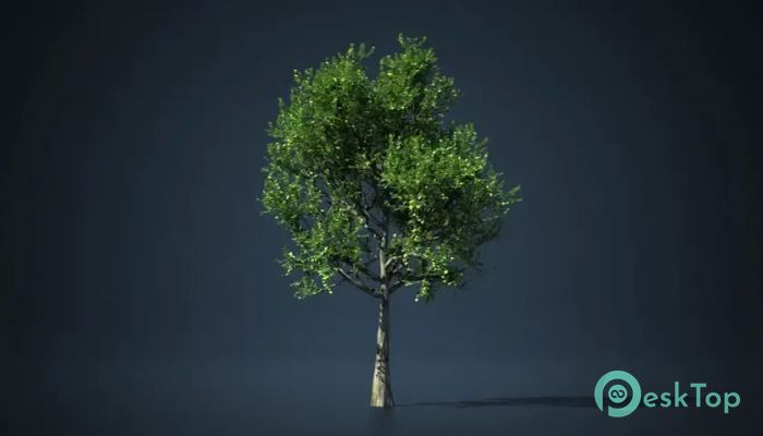 تحميل برنامج Simple Tree Tools v3.0 for Houdini برابط مباشر