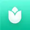 PlantIn Plant Identifier, Care