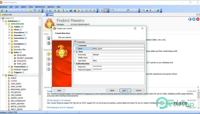Télécharger SQL Firebird Maestro 19.8.0.1 Gratuitement Activé Complètement