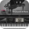 Arturia Keyboards & Piano V Collection 
