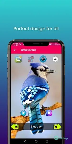100 Bird sounds 32.0 APK MOD Tam Ücretsiz İndir