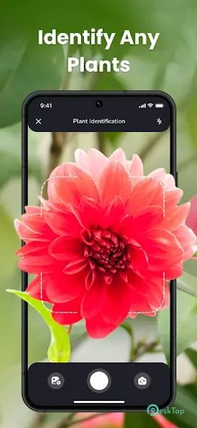 PlantIn Plant Identifier, Care