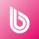 bwt-best-water-professional_icon