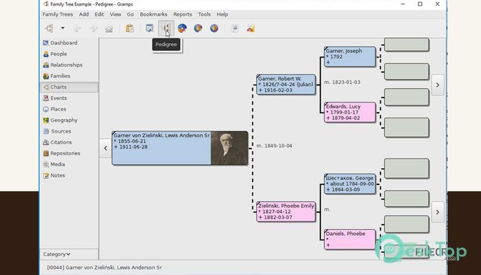 Download Family Tree Builder 8.0.0.8640 Free Full Activated
