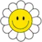Blooming VPN