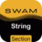 Audio Modeling SWAM String Sections 