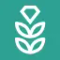 VPN Rice: Fast & Secure Proxy