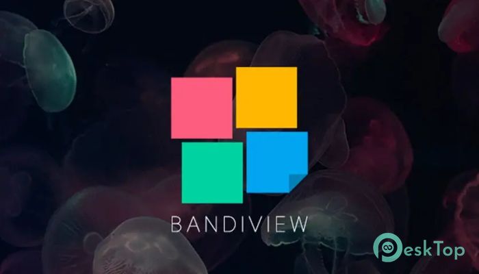 BandiView Pro 7.05 Tam Sürüm Aktif Edilmiş Ücretsiz İndir