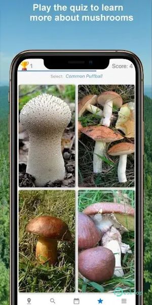 Mushroom Identify - Automatic 2.97 APK MOD Tam Ücretsiz İndir
