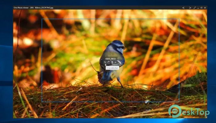 One Photo Viewer 1.0 完全アクティベート版を無料でダウンロード