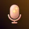 Whispr Notes Audio/Voice Memo