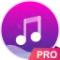 Music player - pro version