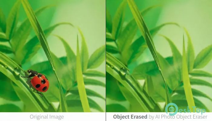  تحميل برنامج AI Photo Object Eraser 2.0 برابط مباشر
