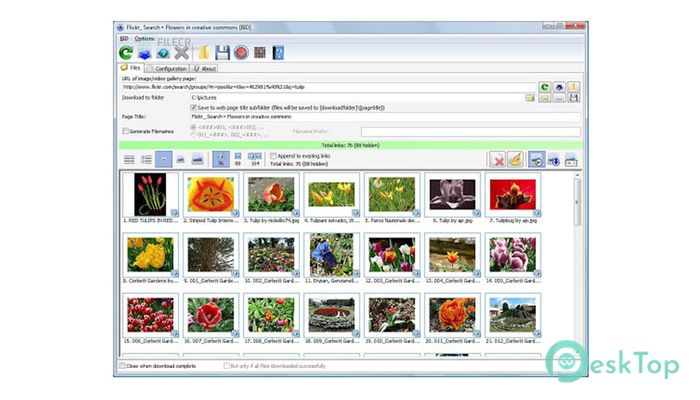  تحميل برنامج Bulk Image Downloader 6.15 برابط مباشر