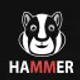 hammer-hamtser-vpn-proxy_icon