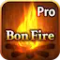 BonFire3D Pro