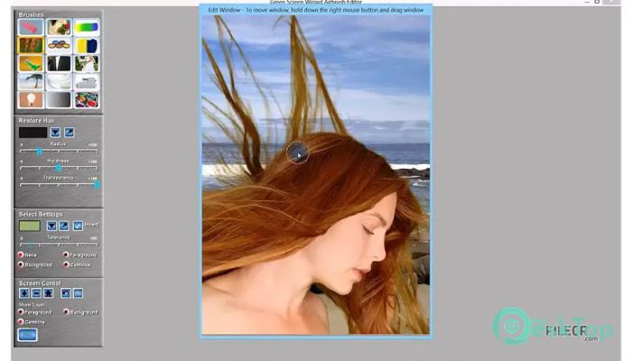 Download Green Screen Wizard Professional 15.0 Free Full Activated