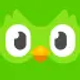 duolingo-language-lessons_icon