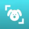 Dog Scanner: Breed Recognition