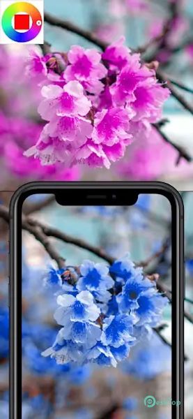 Color Changer Camera 1.318 APK MOD تحميل مجاني كامل