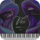 الصوت والموسيقى 1.0.0 icon