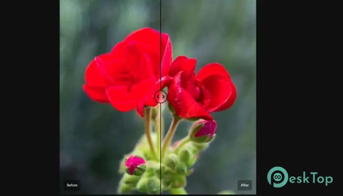 Cobalt Image - Base Pack for Adobe Panasonic Lumix G9