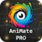 Superhive Market - Animate Pro