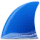 Wireshark_icon