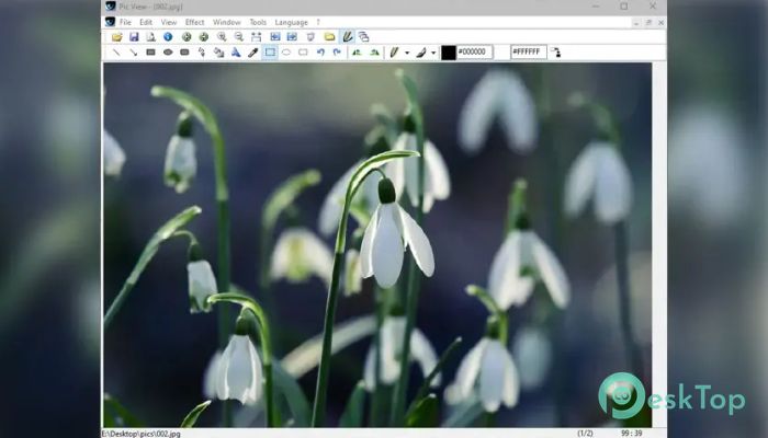 Download Alternate Pic View Lite 1.0 Free Full Activated