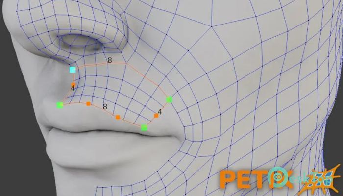 Superhive Market - Petik - Retopology Patch Maker
