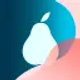 ipear-18-icon-pack_icon