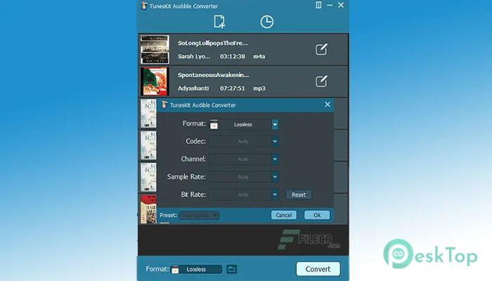 ViWizard Audible Converter 3.3.0.59 Tam Sürüm Aktif Edilmiş Ücretsiz İndir