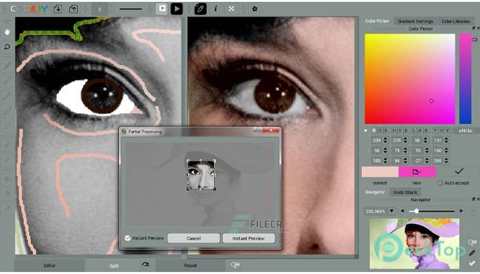 Download CODIJY Recoloring 3.7.6 Free Full Activated