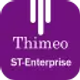 thimeo-st-enterprise_icon