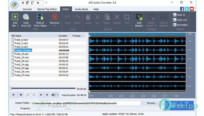 AVS Audio Converter 10.4.4.641 Tam Sürüm Aktif Edilmiş Ücretsiz İndir