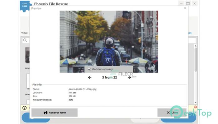 Download Phoenix File Rescue  1.31 Free Full Activated