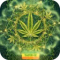 Atix Universe RASTA 528Hz