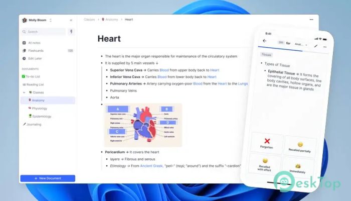 تحميل برنامج RemNote 1.0 برابط مباشر